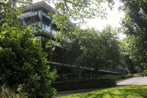 challenge-house-back-view